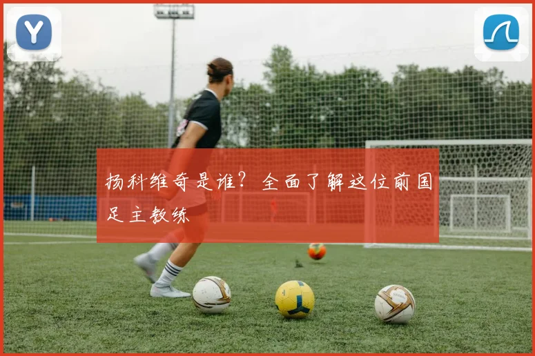 扬科维奇是谁?全面了解这位前国足主教练